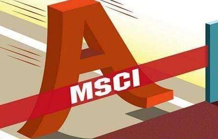 mscia基金（msci概念股基金）