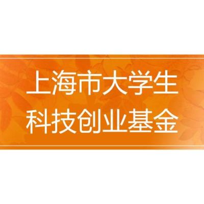 上海政府创业基金（上海创业基金申请条件）-图1