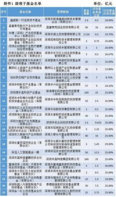 深圳基金排名（深圳基金排名前十名）-图3