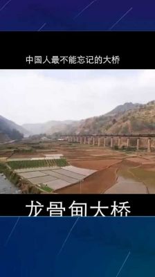 贵州龙头骨架（贵州龙骨甸大桥图片）