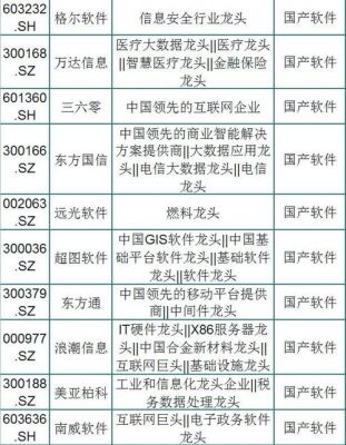 中国软件细分行业龙头（中国软件细分行业龙头股票）-图1